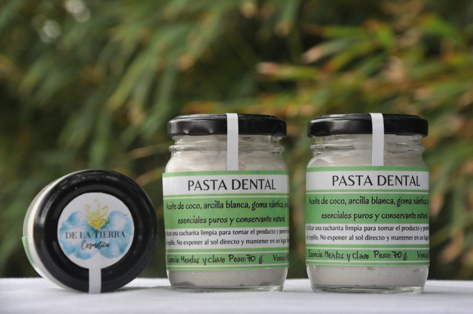 Pasta Dental 70g