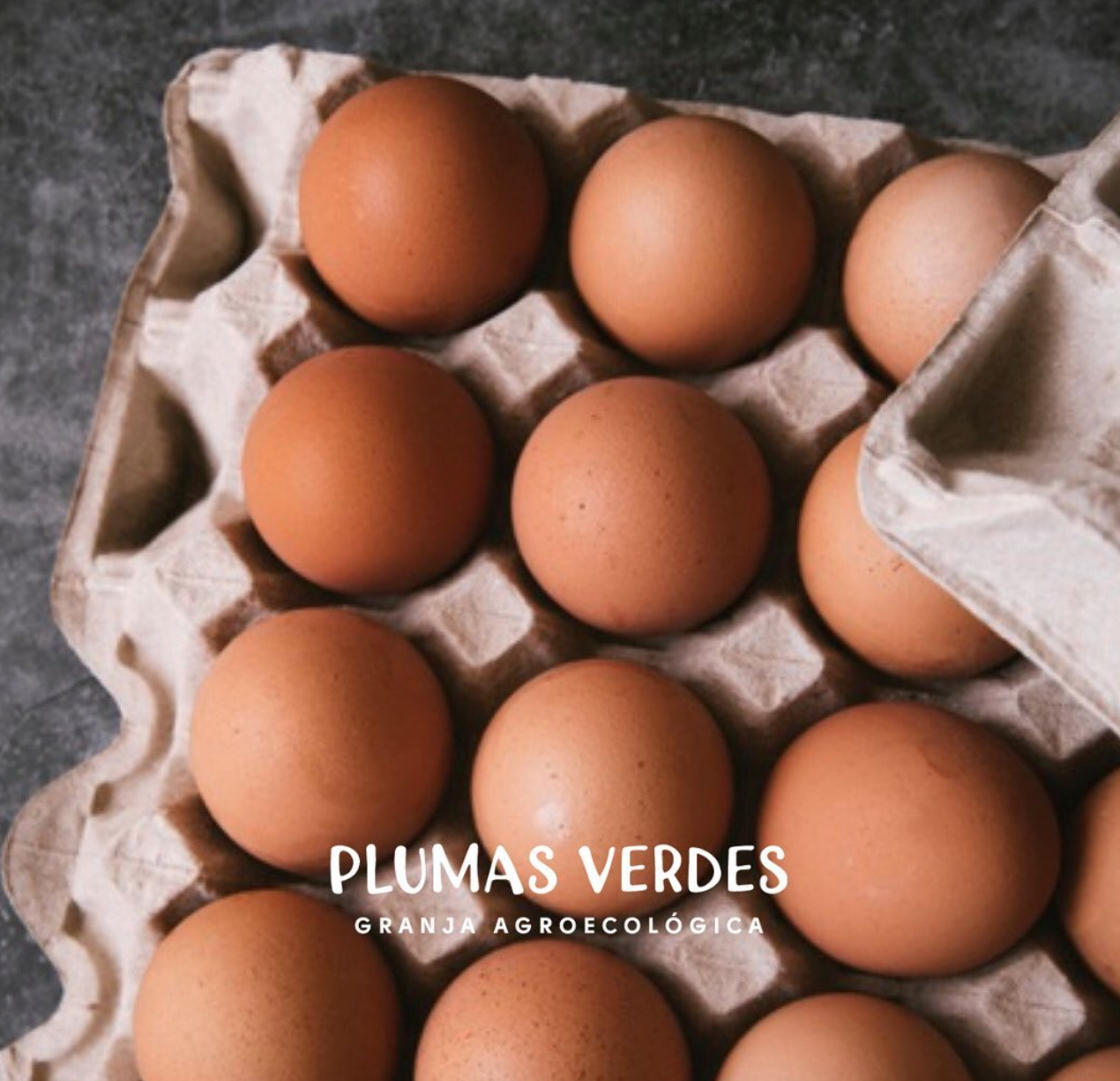 Maple de Huevos