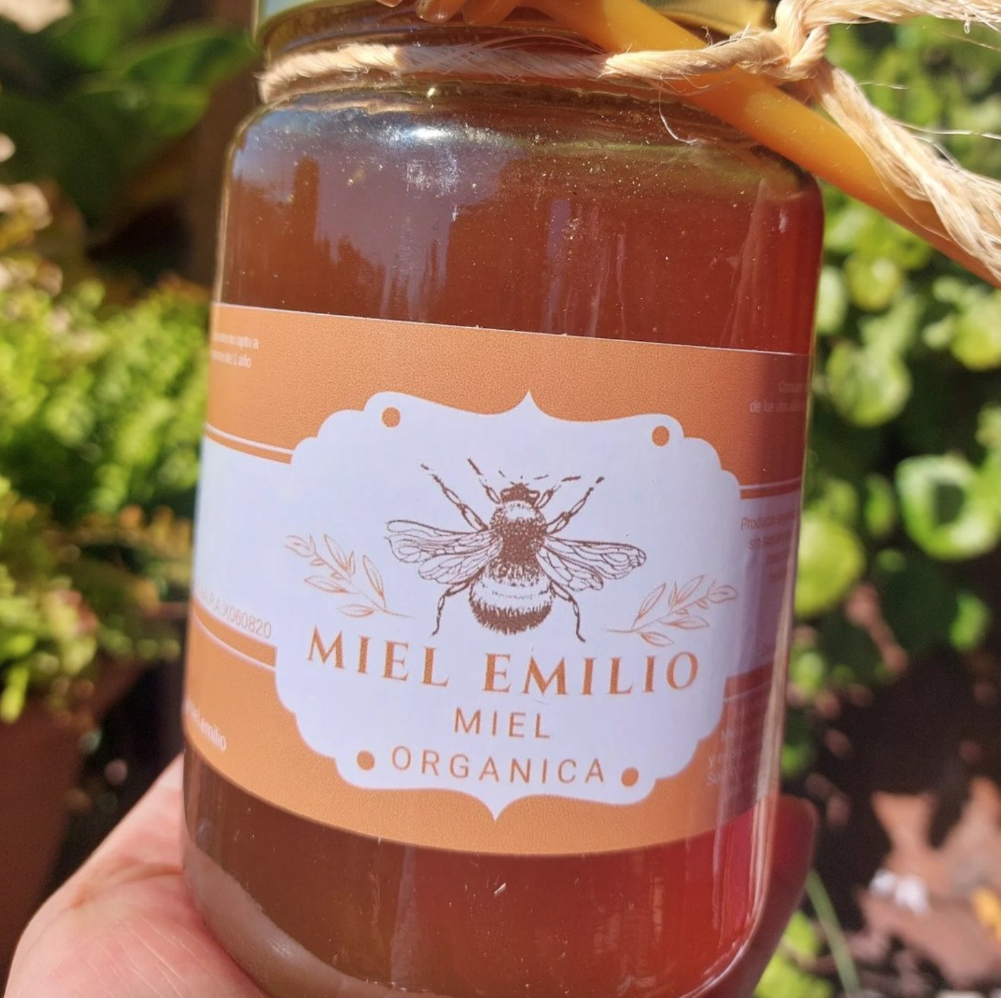 Miel Organica 1Kg