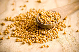 Mostaza En Grano 50G