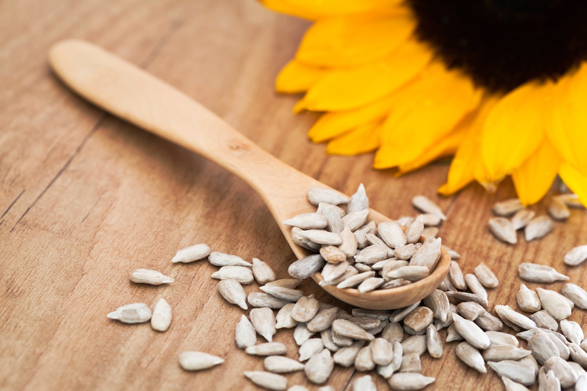 Semillas De Girasol Agroeco 200G